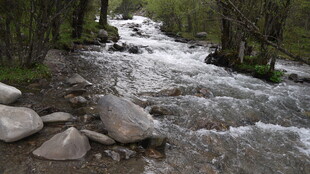 山间溪流潺潺过石景