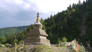 山间佛塔 静立葱郁林海