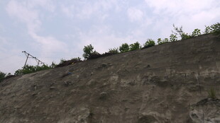 山坡上的稀疏植被