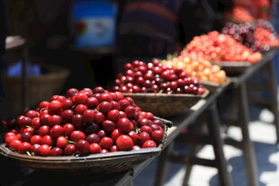 新鲜樱桃整齐摆放在摊位