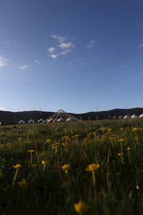 草原黄花蓝天美景如画