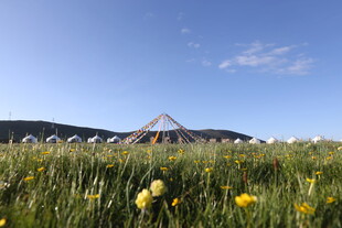 草原上的建筑与烂漫黄花