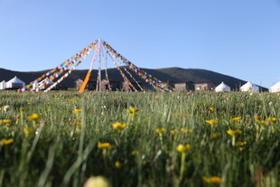 草原上的彩色三角帐篷