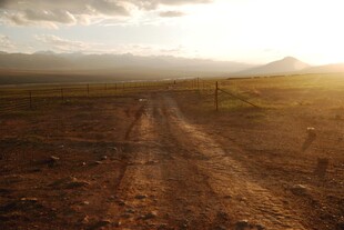 荒野土路 夕阳下的孤寂之路