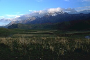 壮丽雪山下的广袤原野