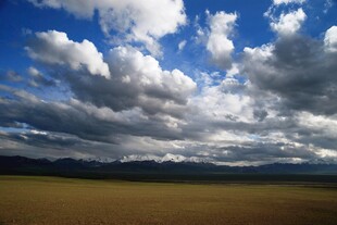 草原上空的壮丽云层