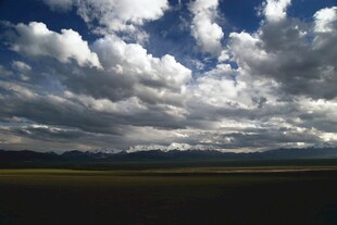 蓝天白云下的广袤原野