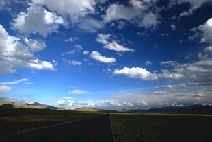 蓝天白云下的广袤原野