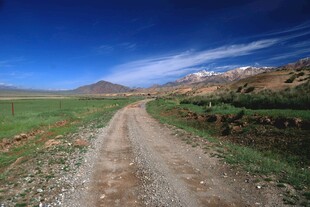 旷野中的蜿蜒土路