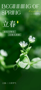 立春