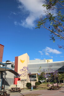 户外多彩建筑景观