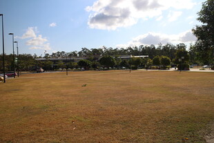 户外开阔草地场景