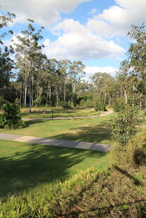 郊外绿意盎然的开阔风景