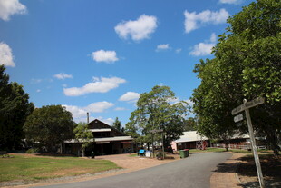 乡村宁静街道与绿树景观