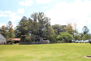 户外开阔草地与树林景色