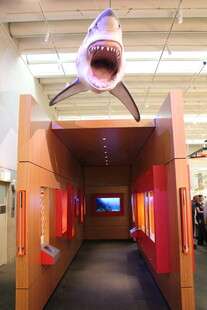 鲨鱼造型悬挂的独特通道