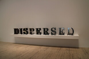 室内艺术摆件DISPERSED