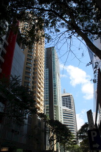 城市高楼与繁茂树木景观