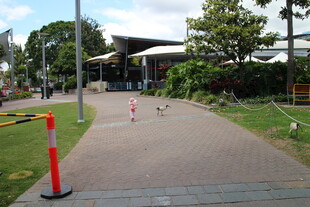 户外休闲步道场景