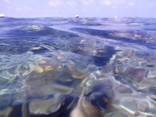 清澈海面下的多彩海底世界