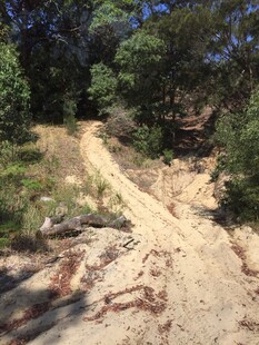 山间沙土小径 绿意环绕