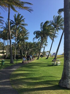 海滨椰林草地休闲美景