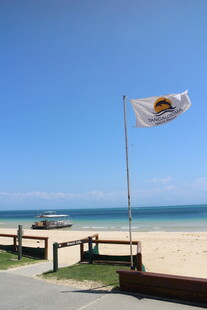 海滩上飘扬的旗帜