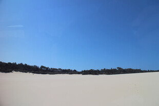 广袤沙地与蓝天绿树景观