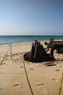 沙滩上的神秘木桩景观