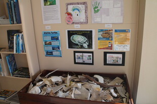 教室角落的创意手工展示区