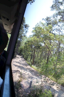 车窗外的林间土路