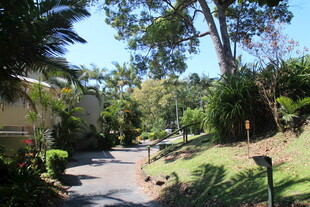 宁静林荫小道 自然好风光