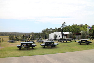 户外草地的休闲野餐场景