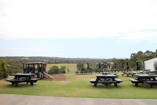 户外草地休闲露营场景