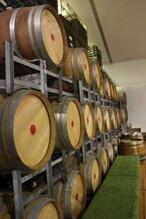 酒窖中的橡木酒桶陈列