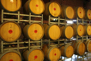 酒窖中的橡木酒桶