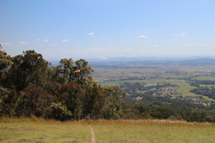 俯瞰广袤原野与葱郁树林
