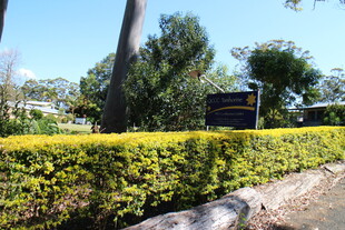 户外绿植景观与标识牌