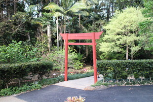 日式花园中的红色鸟居