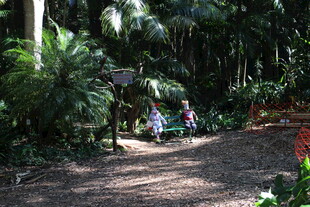 林间小径上休憩的人们