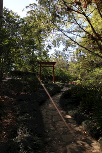 林间小径与古朴木牌坊