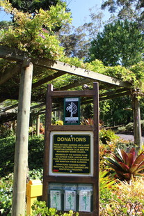 花园中的指示牌与繁茂植物