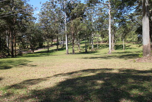 林间草地自然风光