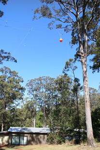 乡村林间小屋 晴空绿树