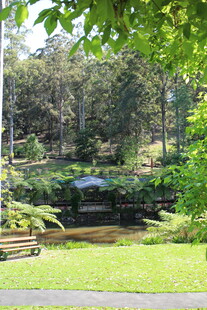 静谧林间河畔休憩美景