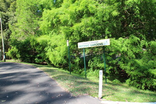 林间路标指引前行之路