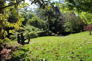 静谧花园中的休闲场景