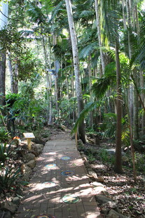 林间小径 畅享自然静谧