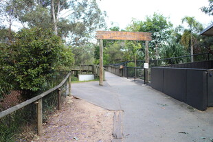 动物园入口处的林荫小道