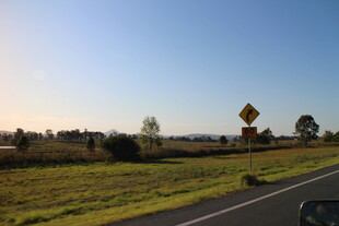 公路边开阔田野风景